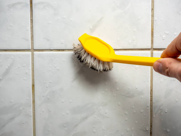 Best Bathroom Mold Remediation in Simi Valley, CA