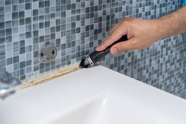 Best Localized Mold Remediation (e.g., coastal areas, humid climates) in Simi Valley, CA