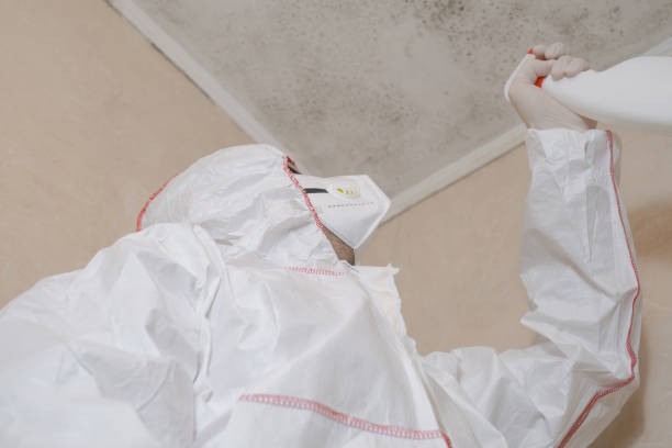 Simi Valley, CA Mold Remediation Company