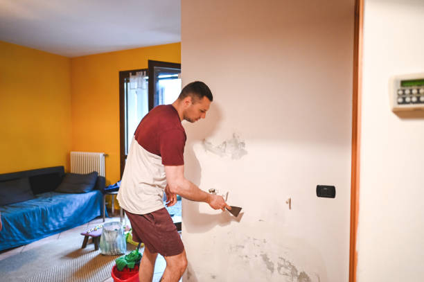 Best Mold Remediation for Specific Building Types in Simi Valley, CA